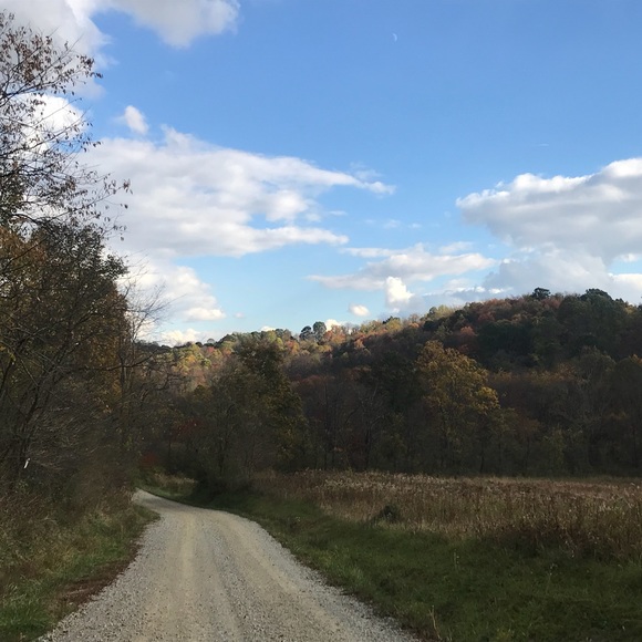 Meet the Posher, Brooke! - Picture 3 of 4